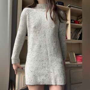 Madewell Wool Sweater Dress